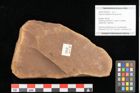 Foto (Objekt + Etikett) von Quercus palaeoilex Ettingshausen (NHMW-GEO-2024-0188-0963)
